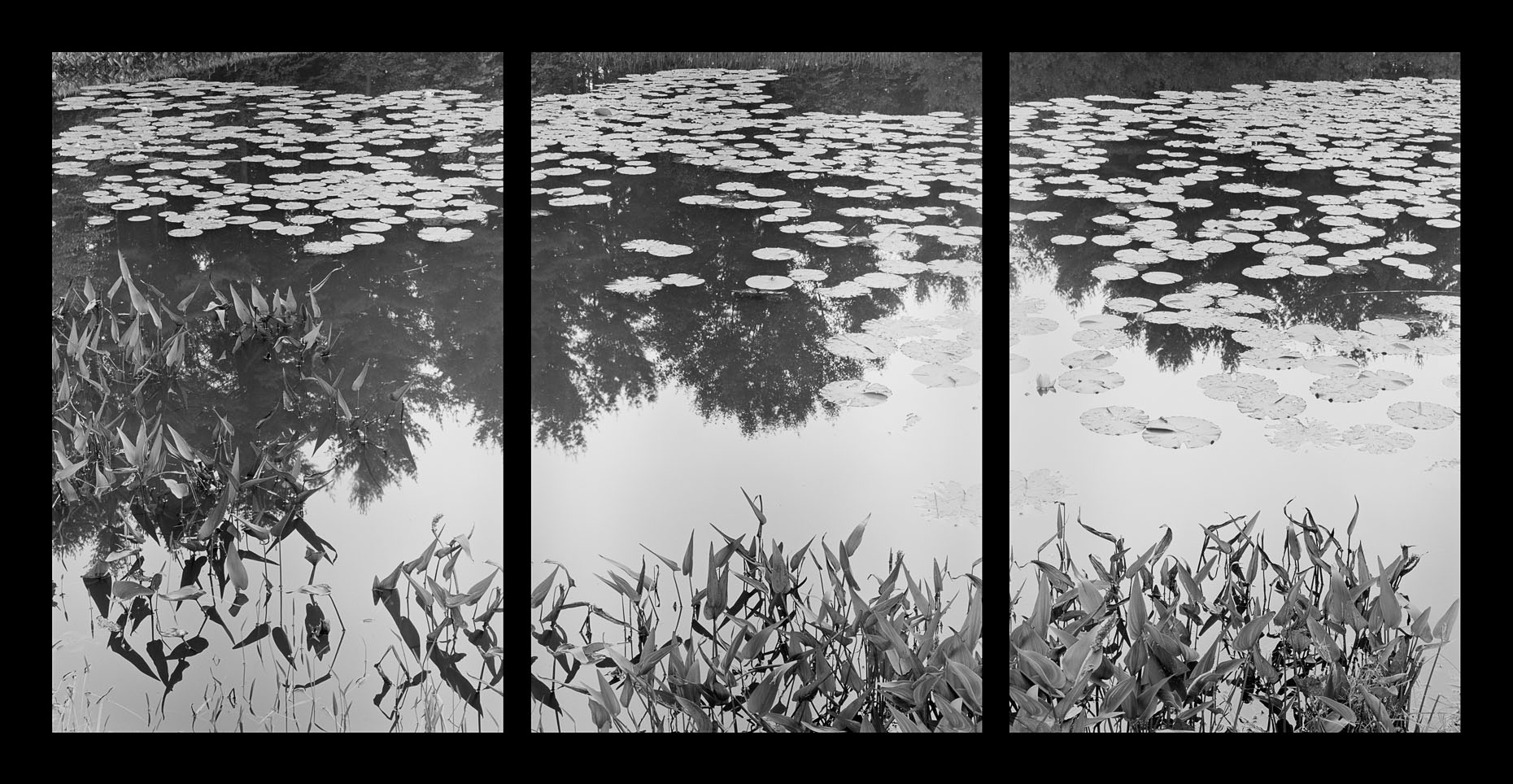 02_FL10D Frewsburg Pond.jpg