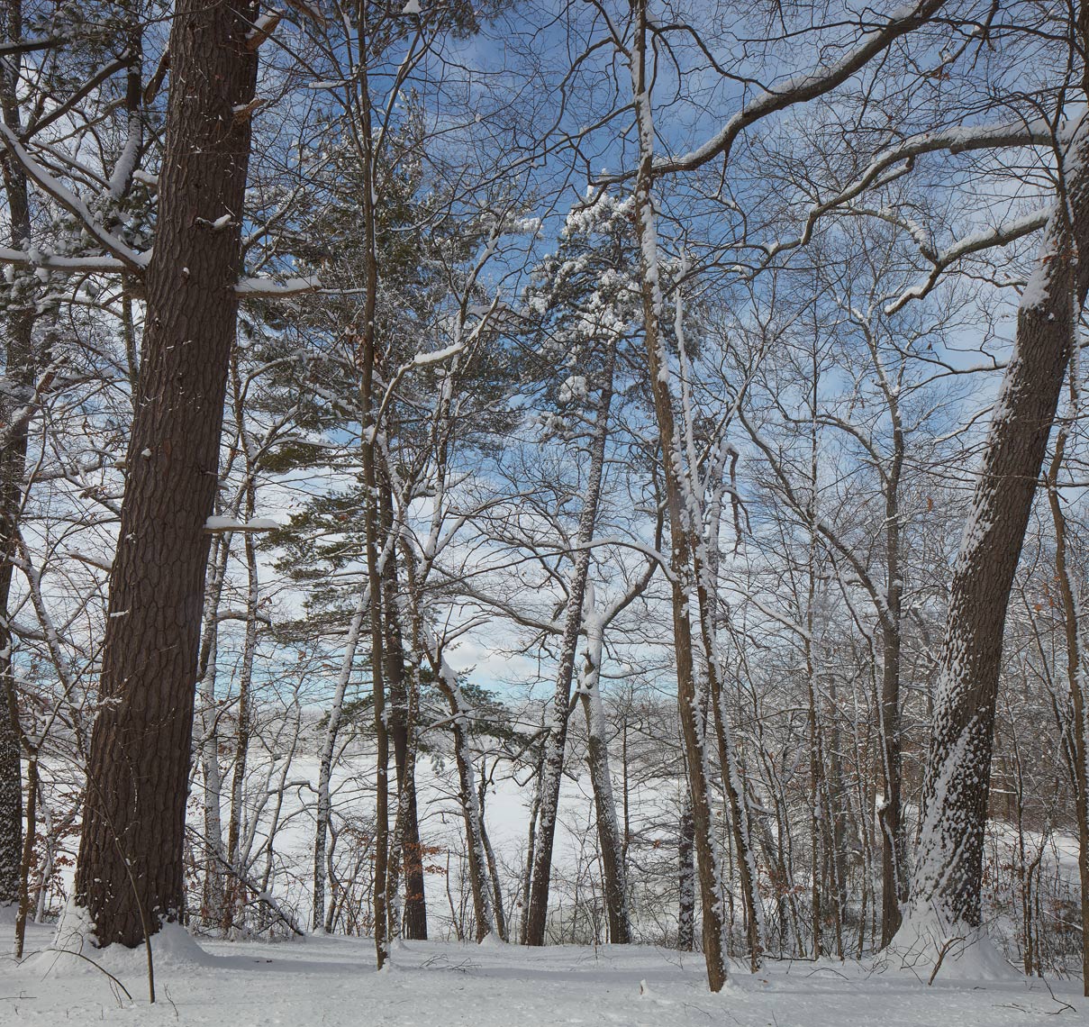 Great Meadows National Wildlife Refuge, Wayland MA