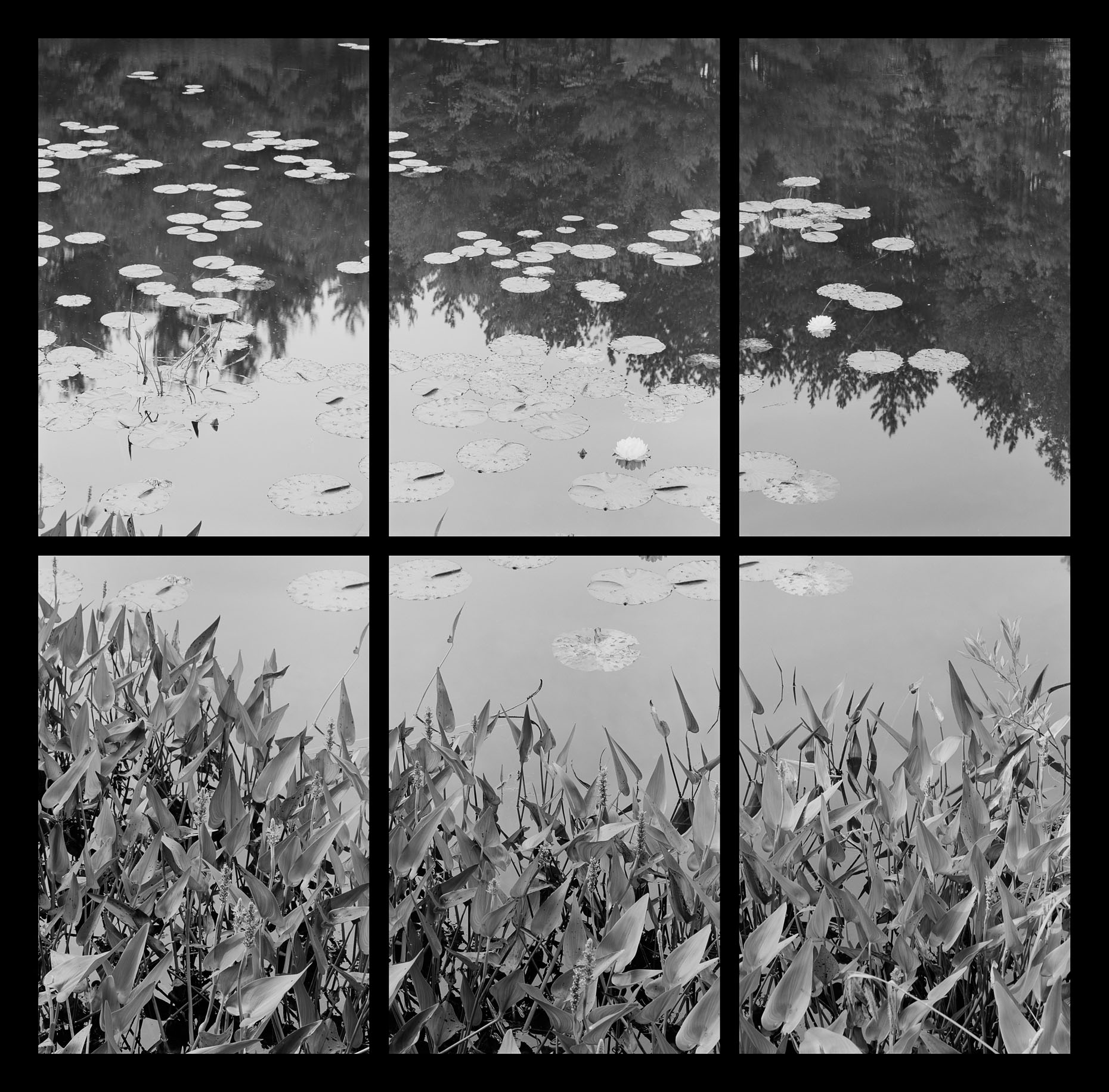 10_FL139D Frewsburg Pond.jpg