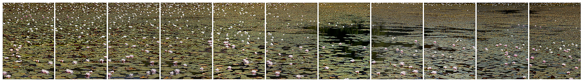 11_FL173-Sandwich-Pond-Two_18_3