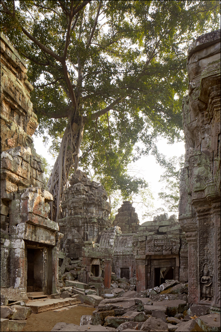 20_3250D-07-Ta-Prohm-Temple_8933r